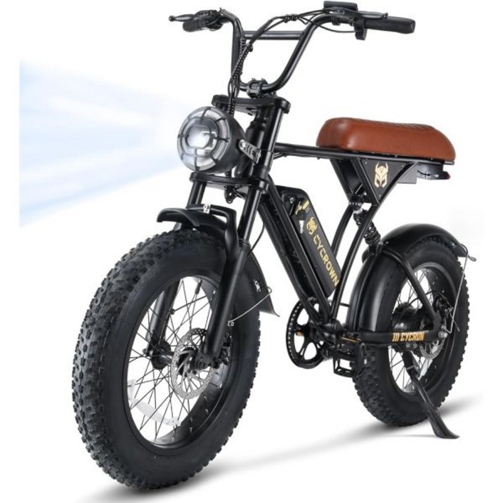 CycRun 성인용 전기자전거 750W 모터 374.4 장착WH 배터리 20MPH 55마일 Moped Style Ebike 20 Fat Tire 뚱뚱한 타이어 유압식 서스펜션이 CycRun 성인용 전기자전거 750W 모터 374.4 장착WH 배터리 20MPH 55마일 Moped Style Ebike 20 Fat Tire 뚱뚱한 타이어 유압식 서스펜션이