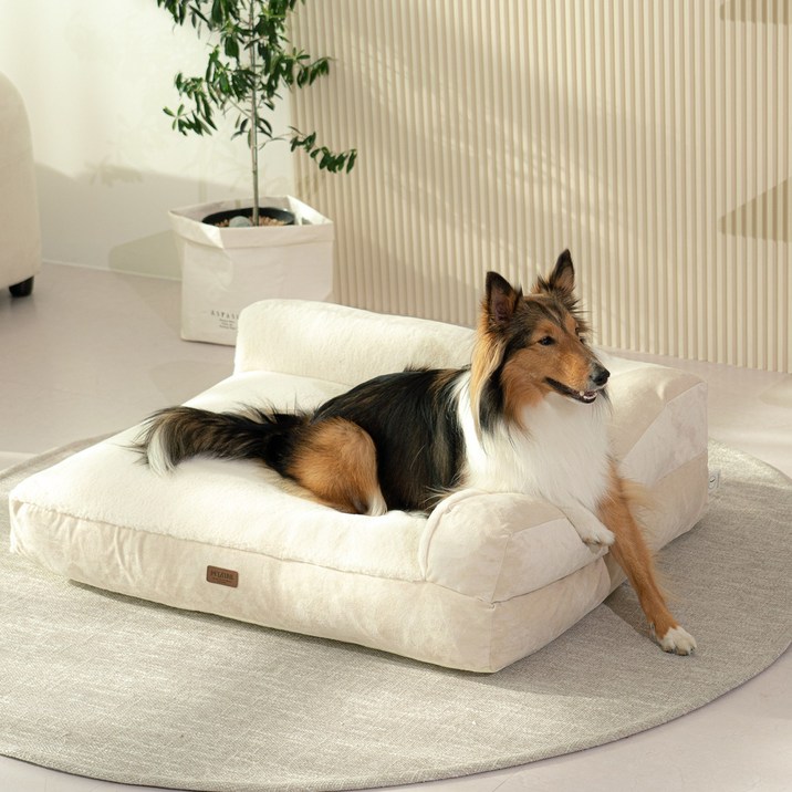 펫테일 강아지 은나노 리저브 방석 쿠션 침대 쇼파, 네추럴 베이지 XL+ 미니쿠션 2개 7735485149