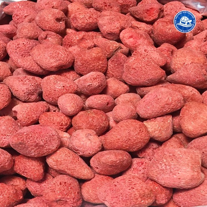 장수왕 딸기칩 200g, 1kg 모음 동결건조 과일칩 야채칩 건조딸기 건딸기