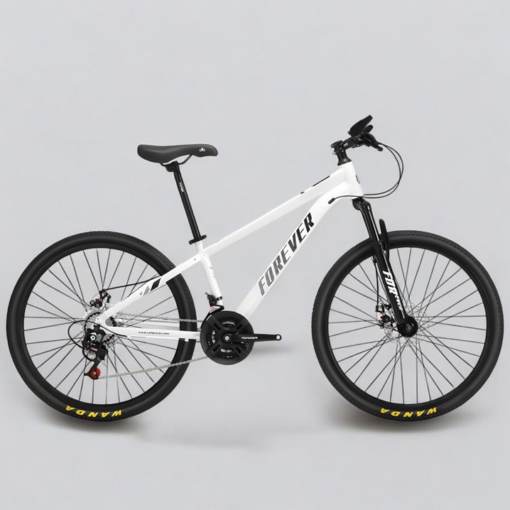 스피드라이즈드 입문용 MTB 자전거 21단