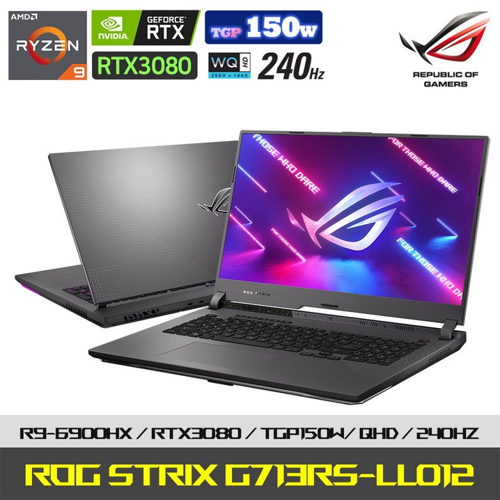 ASUS ROG G713RS-LL012 라이젠 고해상도 게이밍 노트북 AMD 5세대 R9/RTX3080 TGP 150W/WQHD/240Hz, G713RS-LL012, Free DOS, 16GB, 1TB, AMD, 이클립스 그레이