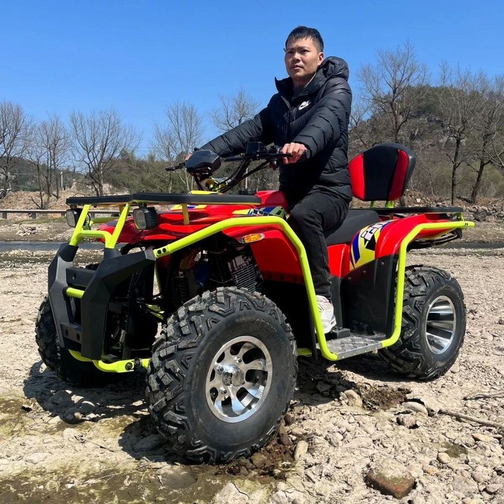 사륜 오토바이 사발이 팜트럭, 워리어 스타일 200, 기본 모델명품번