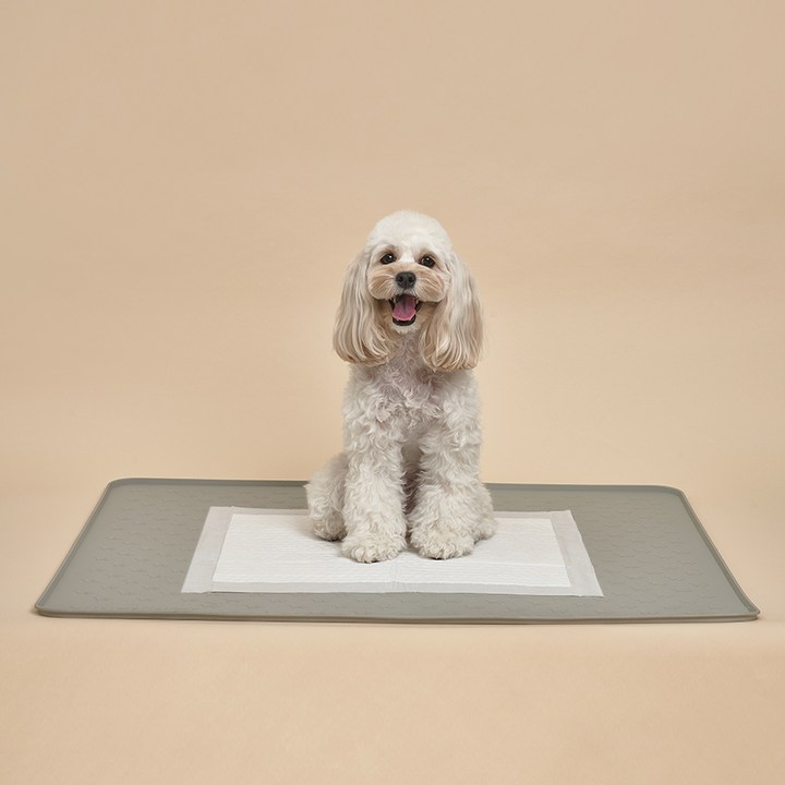 강아지배변매트 도그아이 반려동물 논슬립 실리콘 배변매트 특대형, 단일색상, 1개