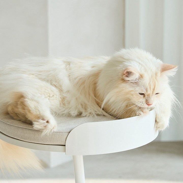 두잇 미니 캣타워 3층쿠션 벨트X  높이 3cm