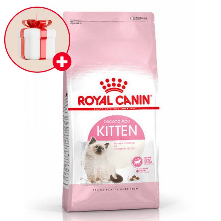 로얄캐닌 키튼 고양이 건식사료 4kg(2kg+2kg) - 투데이밈
