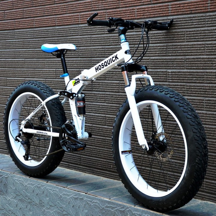 20인치 접이식 폴딩 스쿠터 전동 전기 바이크 팻바이크 펫바이크 가성비 자전거, 화이트