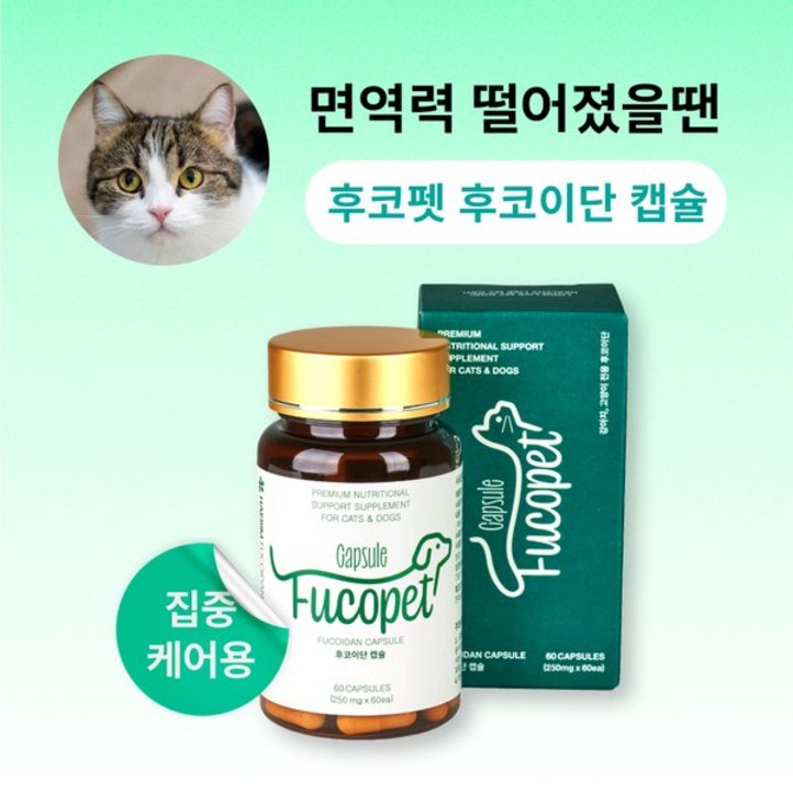 후코펫 후코펫 후코이단 캡슐 고양이전용 후코이단