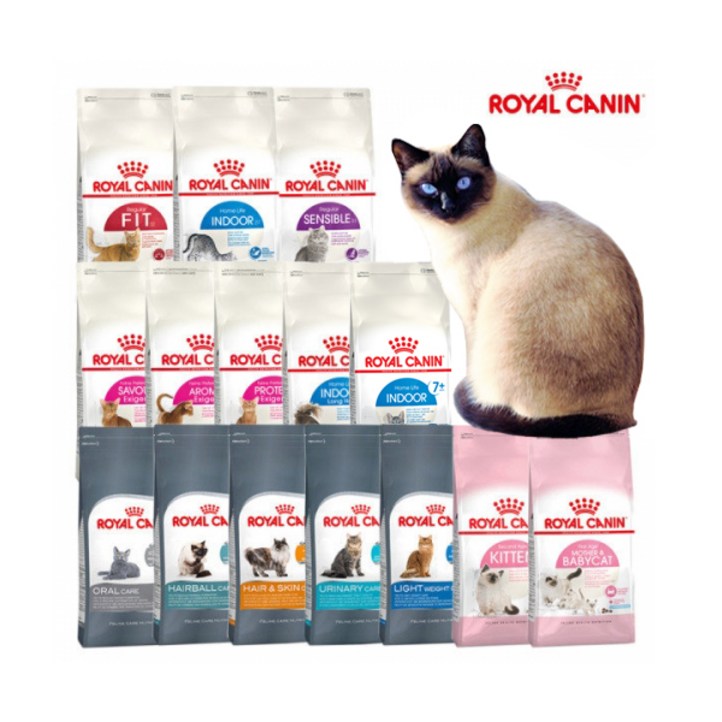 로얄캐닌 고양이사료 브랜드전50g 사료 증정 건식사료