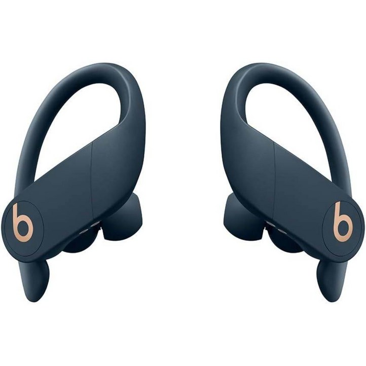 Beats by Dr. Dre Powerbeats Pro Wireless 이어버드