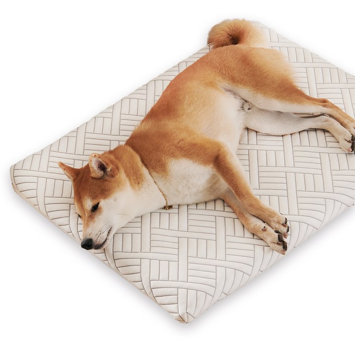 꽁떼떼 듀라론 100 국내생산 메모리폼 쿨매트 강아지 매트리스 침대 애견 쿠션  ML