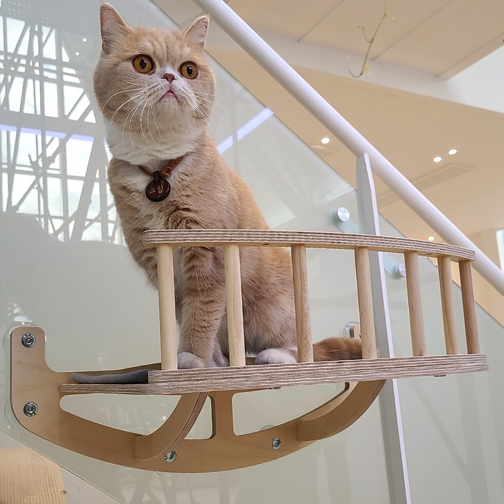 모넬로 윈도우 캣워커 대형 GO20220