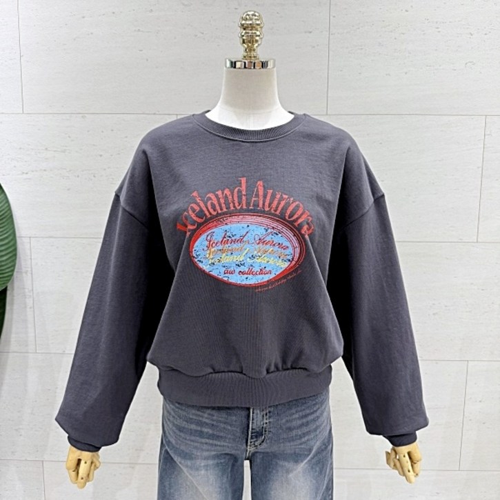 에잇컨셉 라운드넥 오로라 쭈리 맨투맨 (C25J1FTS007BC1)