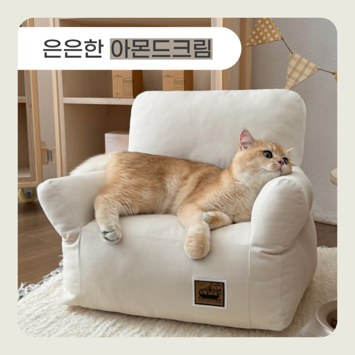 데일리테일 펫소파 강아지방석 고양이 쿠션, 1개, 아몬드크림