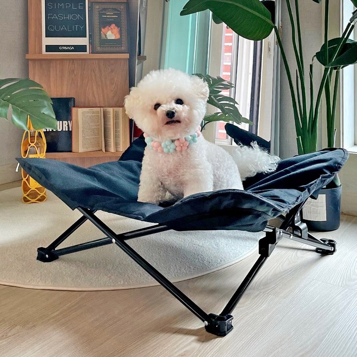 브리즈문 강아지 캠핑 해먹 의자 중형 - 쇼핑뉴스