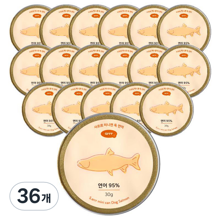 아르르 고양이 사르르 미니캔 간식 대용량, 연어, 30g, 36개
