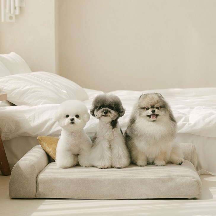 펫더팬 프리미엄 강아지 고양이 애견 침대 소파 방석 슬개골 보호, 소프트 크림, 1개