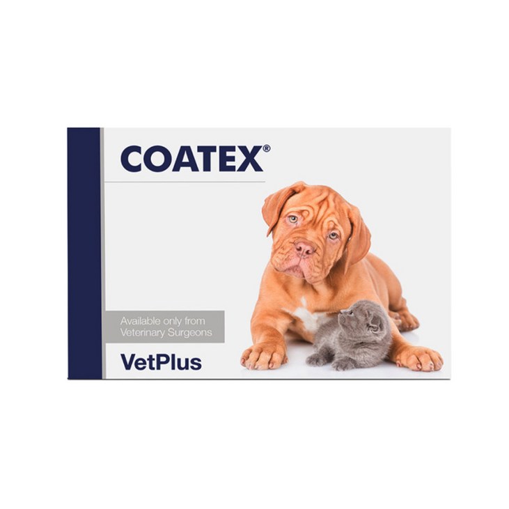 벳플러스 코텍스 블리스터 강아지 고양이 피부모질 영양제 60캡슐, 단품