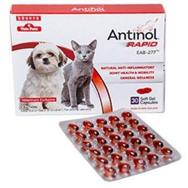 안티놀 래피드 30정 강아지 고양이 관절영양제 리뉴얼 제품 1021457