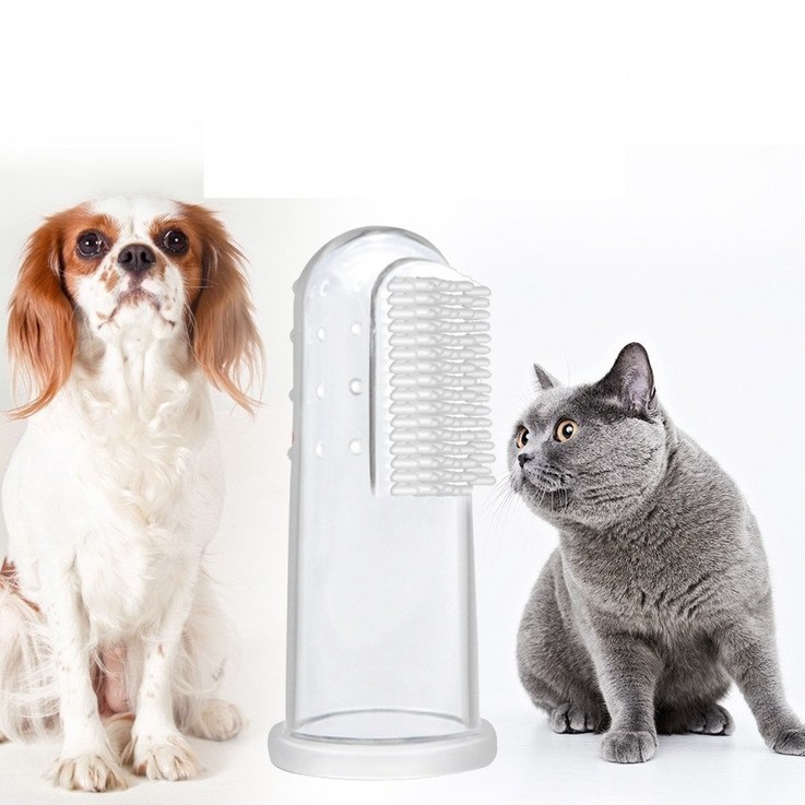 퍼피즈랩 고양이 강아지 실리콘 손가락 투명칫솔 10입 양치 구강청결, 10개, 본품