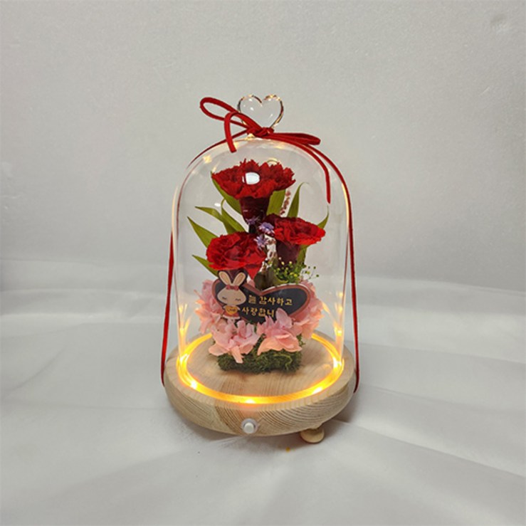 어버이날 카네이션 LED무드등 생화 부모님 꽃선물 인테리어 조명 프리저브드 꽃 생일선물, 분홍 카네이션