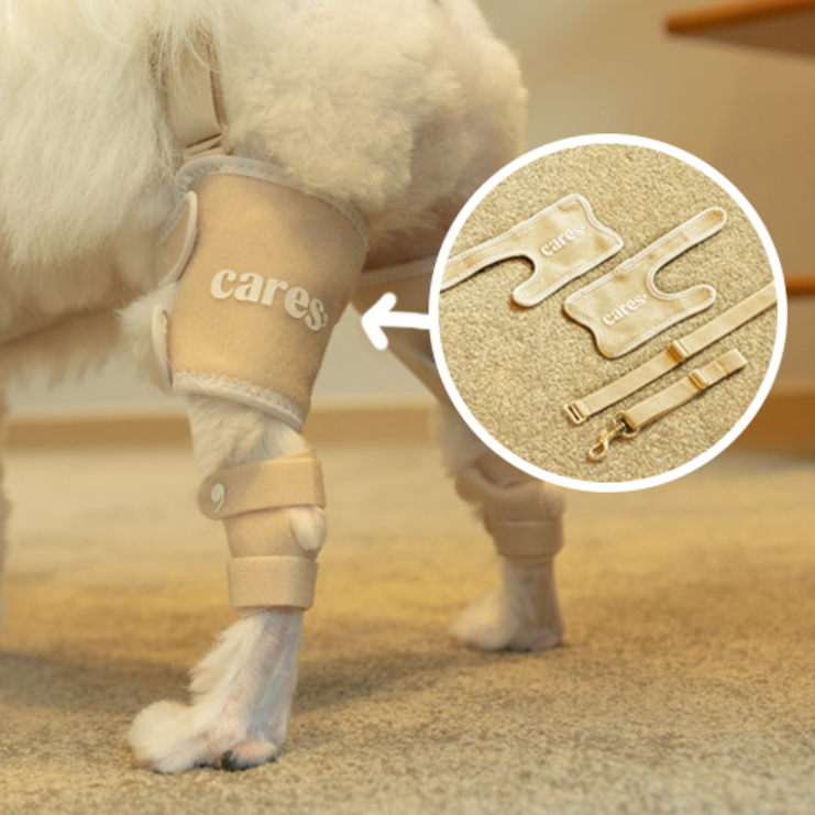 왼발,오른발 set  하네스 걸이 증정 케어즈, 100 국내 제작, 강아지 슬개골 비절 탈구 보호대 산책 밴드 , 11 양발 구성