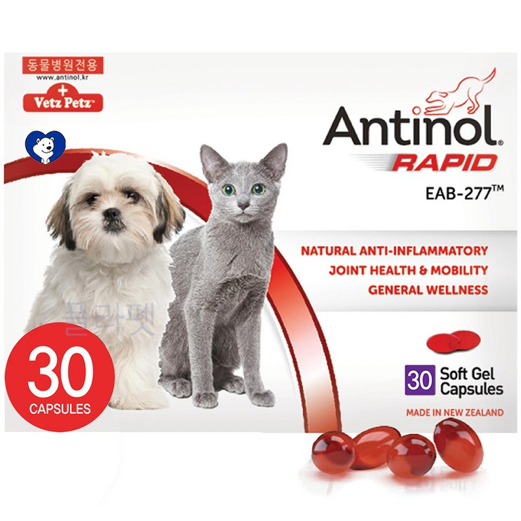 안티놀 래피드 30정 강아지,고양이 관절영양제