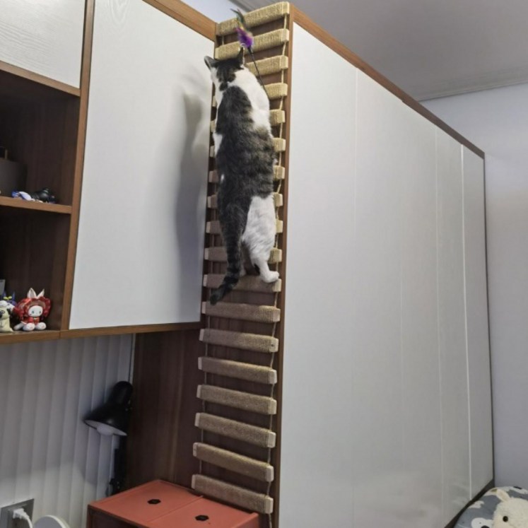 나있고 크레이지 면로프 고양이 사다리 밧줄, 50cm