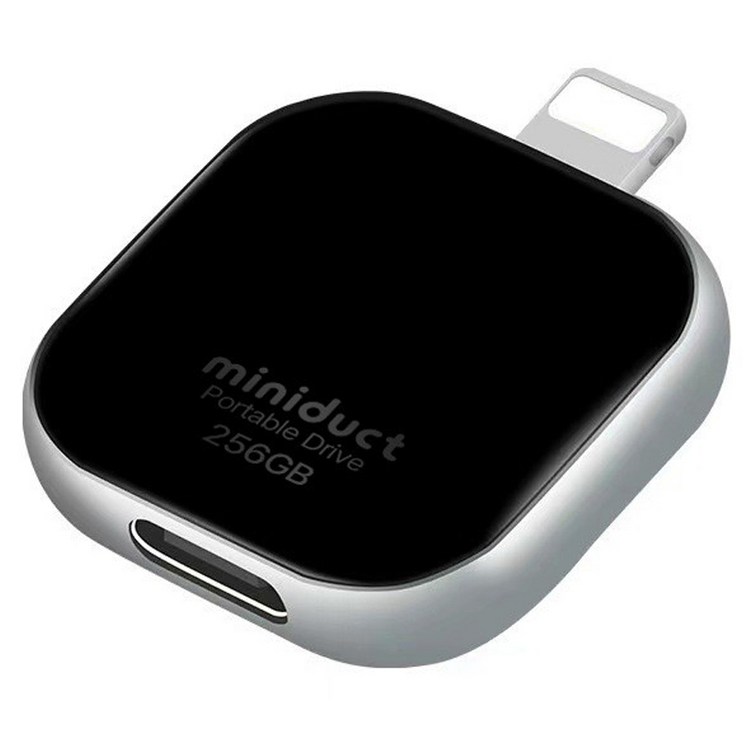 미니덕트 에어포켓 외장메모리 라이트닝타입 mi2000DT, 1개, 256GB