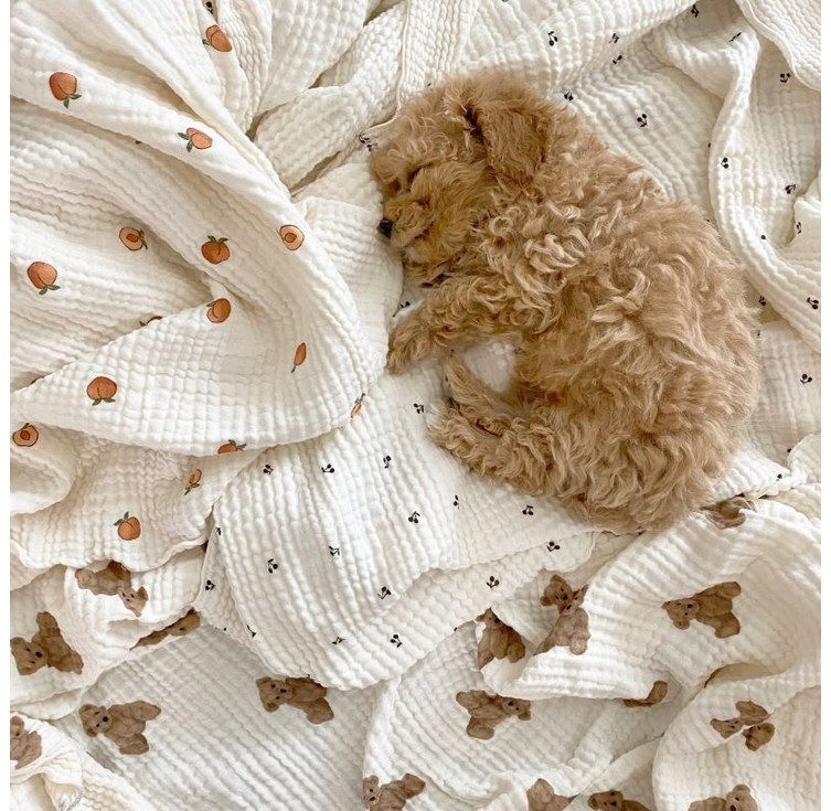 목화베리 강아지담요 블랭킷 켄넬담요 애견이불