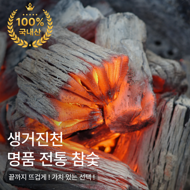 진천참숯 오래가는 국내산 백탄 숯 캠핑 바베큐 국산 숫 추천 야외용 펜션 고기집 구이용 업소용 1박스 진천참숯 오래가는 국내산 백탄 숯 캠핑 바베큐 국산 숫 추천 야외용 펜션 고기집 구이용 업소용 1박스